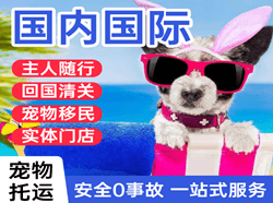 德宏芒市航空邮寄国际宠物托运 【国